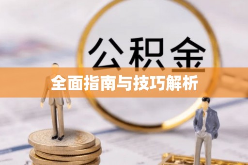 宿城全面指南与技巧解析