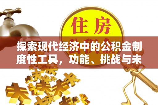 宿城探索现代经济中的公积金制度性工具，功能、挑战与未来