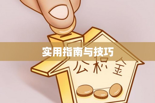 宿城实用指南与技巧