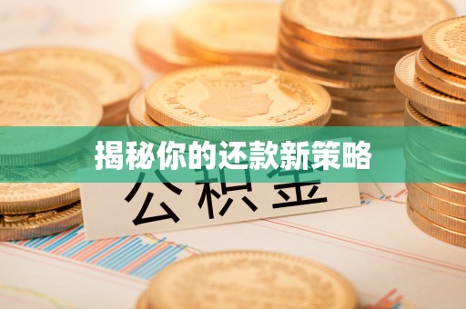 宿城揭秘你的还款新策略