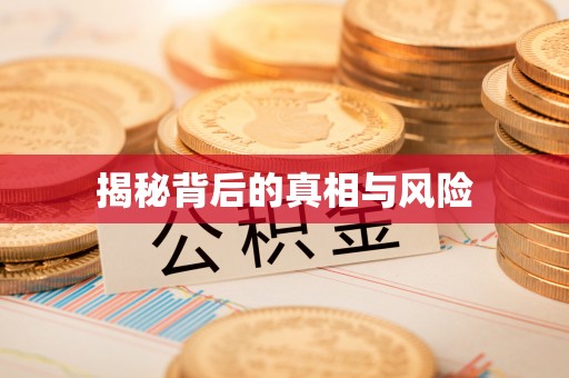 宿城揭秘背后的真相与风险