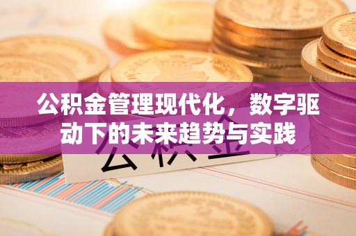 宿城公积金管理现代化，数字驱动下的未来趋势与实践
