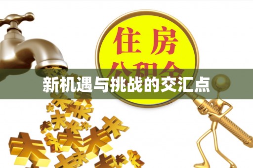 宿城新机遇与挑战的交汇点
