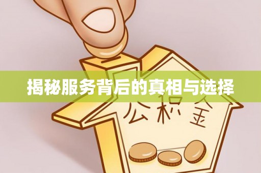 宿城揭秘服务背后的真相与选择