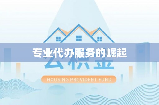 宿城专业代办服务的崛起