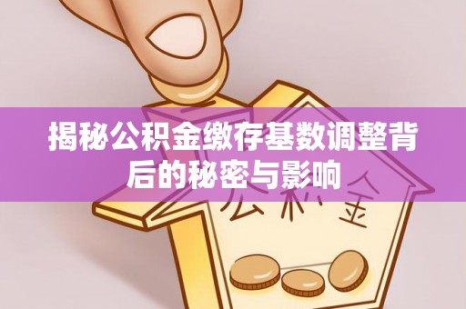宿城揭秘公积金缴存基数调整背后的秘密与影响