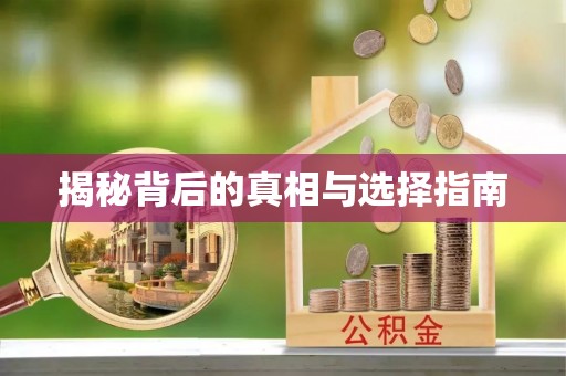宿城揭秘背后的真相与选择指南