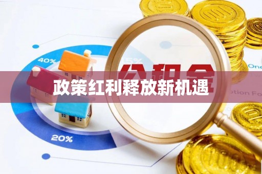 宿城政策红利释放新机遇