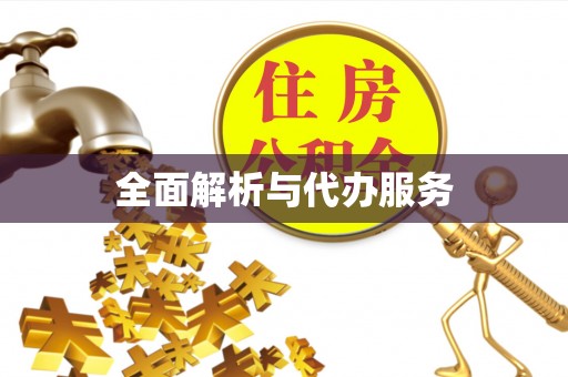 宿城全面解析与代办服务