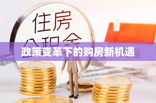 宿城政策变革下的购房新机遇