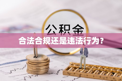 宿城合法合规还是违法行为？