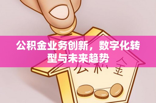 宿城公积金业务创新，数字化转型与未来趋势