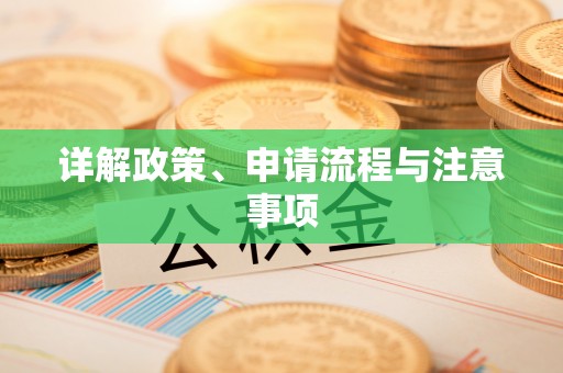 宿城详解政策、申请流程与注意事项