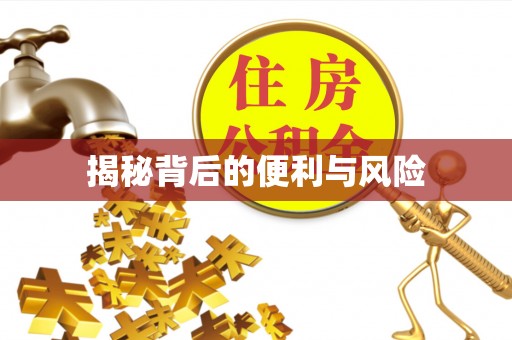 宿城揭秘背后的便利与风险