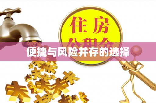 宿城便捷与风险并存的选择