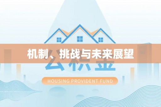 宿城机制、挑战与未来展望